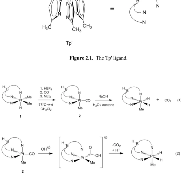 Figure 2.1.  The Tp' ligand. 