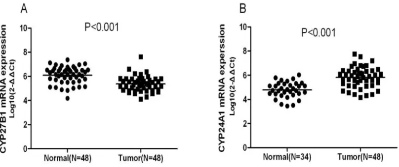 Figure 1: RT-qPCR results on CYP27B1 and CYP24A1 expression in lung tumor (n =48) and non-tumor tissues (n =48)