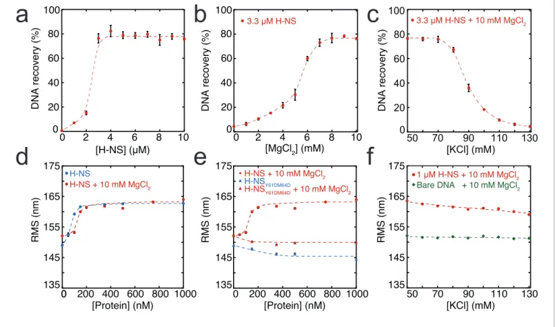 Figure 1. Modulation of H-NS function by ionic conditions. (a) DNA-bridging efficiency as a function of H-NS concentration in the presence of 10 mM MgCl 2 