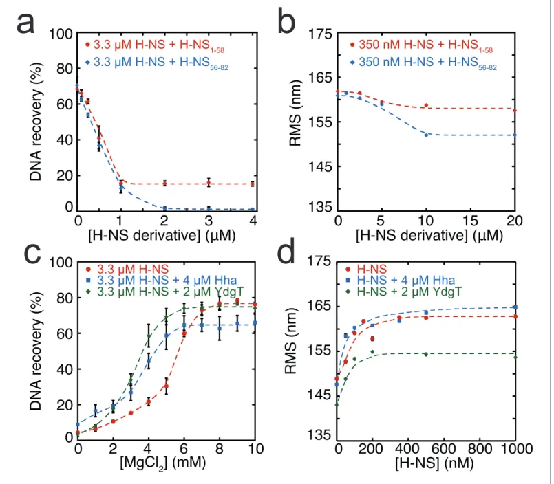 Figure 3. Modulation of H-NS function by protein cofactors. (a) DNA bridging efficiency as a function of inhibiting peptides targeting either the dimerization domain (H-NS 1-58 ) and multimerization domain (H-NS 56-82 )