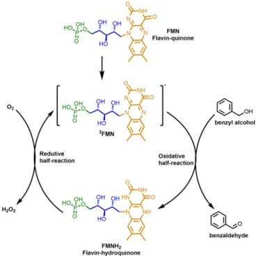 Table 1. List of control experiments with benzylalcohol to benzaldehyde as the model reaction