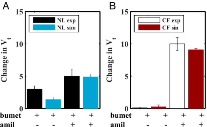 Fig. 3. Model simulation of disruption of ion transport pathways in (A) normal and (B) CF airway epithelia