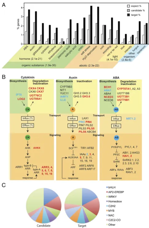 Fig. 3. Enriched GO categories for ARR10 candidate and target genes. (A) GO analysis, showing representative responses that exhibit enrichment for candidate and target genes