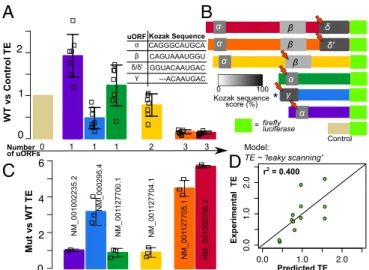 Fig. 2. Translation efficiency (TE) differs between SERPINA1 transcripts and is affected by uORFs