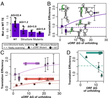 Fig. 5. Structure mutants show translation efficiency (TE) is a function of ΔG of unfolding around the uORF Kozak sequence