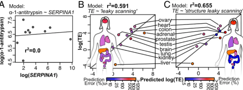Fig. 6. Predictions of SERPINA1 translation efficiency (TE) in 10 human tissues are improved with the structure leaky-scanning model