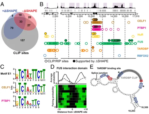 Fig. 4. Distinct classes of Xist-protein interactions.