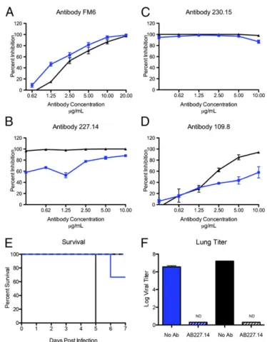 Fig. 4. SARS-CoV monoclonal antibodies have robust neutralization against WIV1 spike-mediated infection