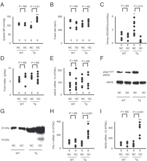 Fig. 2. Bidirectional change in arterial pressure by overexpression of prolactin is associated with changes in urinary excretion of nitrite/nitrate and in the expression of 16K prolactin and its downstream genes (*P < 0.05 and **P < 0.01 vs