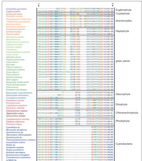 Figure 2 Taxon-specific gaps in alignment of phosphoribulokinase amino acid sequences from 56 operational taxonomic units (Figure1) plus 4 dinoflagellates