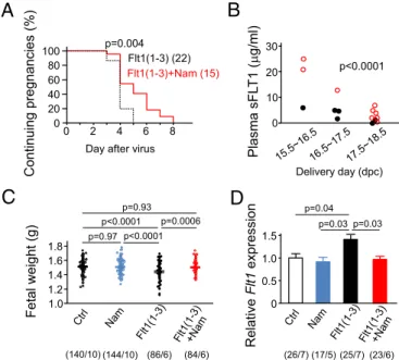 Fig. 2. Nicotinamide delays miscarriages and prevents fetal growth restriction induced by Flt1(1-3) and decreases expression of Flt1 in placentas