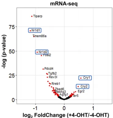 Fig. 5. Effect of PER2 nuclear entry on transcriptome by mRNA-Seq in Per1/