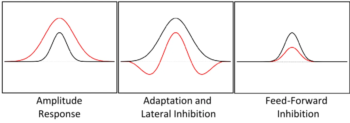 Figure 1.1:  Examined Response Dynamics 
