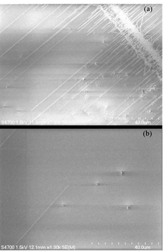 Figure 3.6: Long and aligned CNTs grown on a quartz wafer with (a) high and (b) proper concentrations.