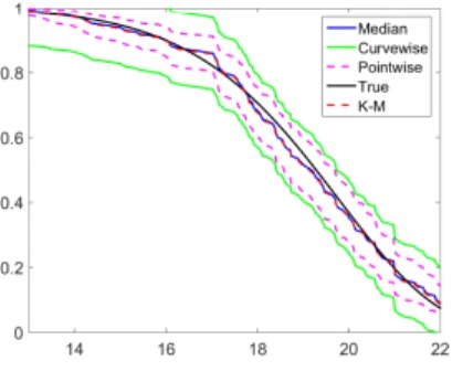 Figure 3.3: An example of 95% pointwise and curvewise confidence intervals of survival function by proposed log-linear interpolation approach.