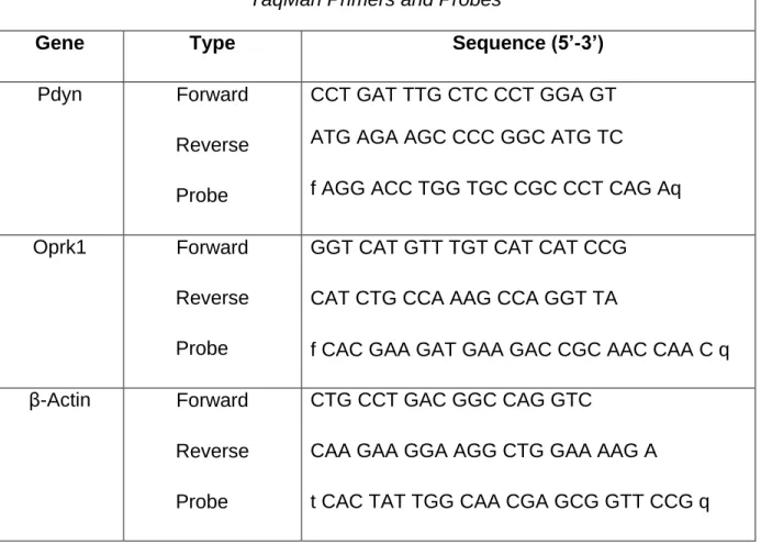 Table 3.1 – sequence information for primers and probes. 