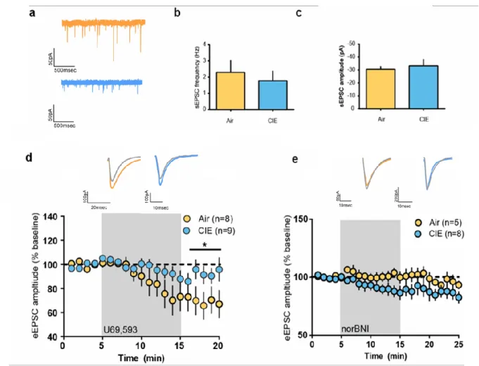 Figure 3.3 - Following CIE, ethanol-exposed mice show a decrease effect of  KOR activation on glutamate transmission