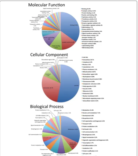 Figure 4 Gene ontology (GO) categories of the transcriptome set. Second-level GO annotations are shown based on hits to the Genbank nrdatabase.