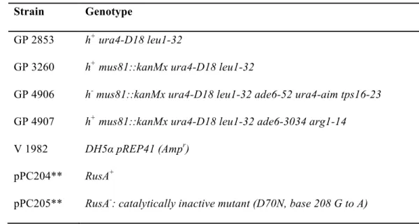 Table 3.  Strains and plasmids used in this study.  