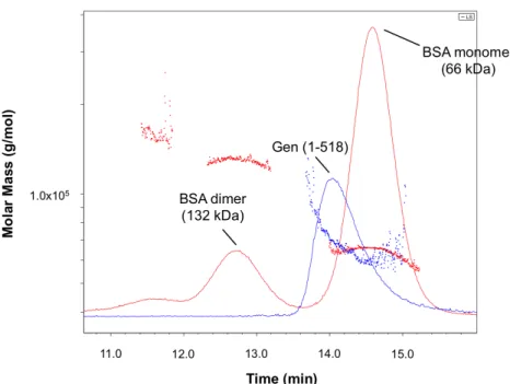 Figure 6.  SEC-MALS analysis of Gen shows that both monomers and dimers exist in solution