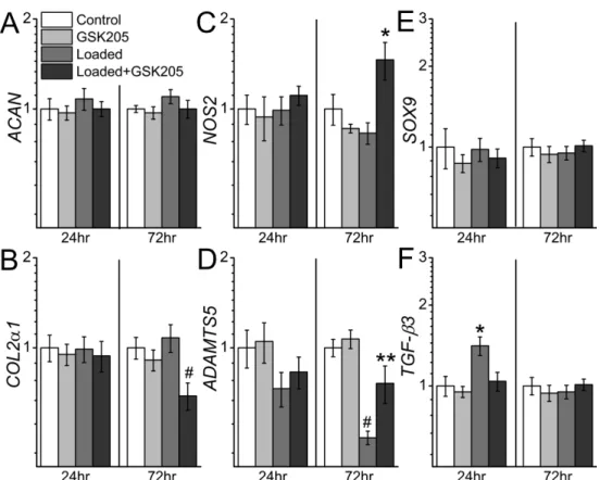 Figure 2.4: Gene expression with pre-culture. TRPV4-dependent gene-expression in two- two-week pre-cultured chondrocyte-laden agarose constructs 24hrs and 72hrs after mechanical 