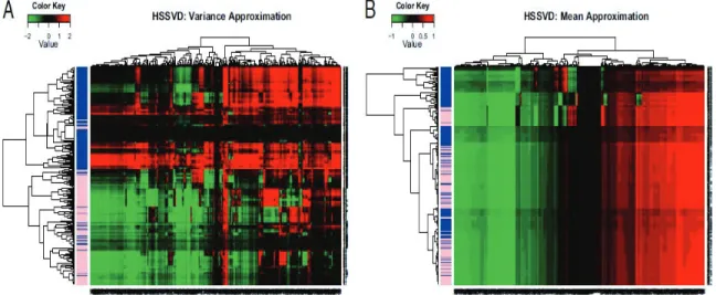 Figure 2.3: HSSVD approximation result for all samples. The variance approximation is in panel (a) and the mean approximation is in panel (b)