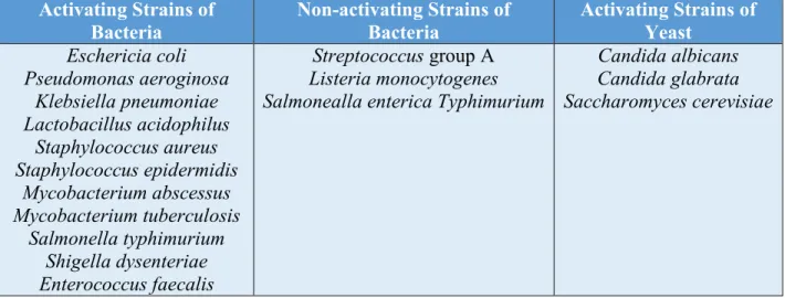 Table 1. Strains of bacteria and yeast that activate MAIT cells as well as strains of bacteria and  viruses that do not activate MAIT cells