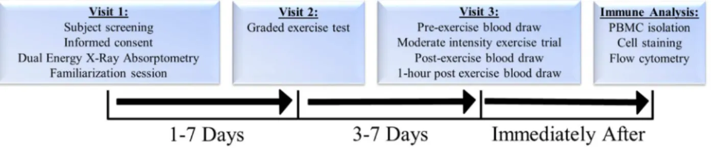 Figure 1. Summary of study design.  
