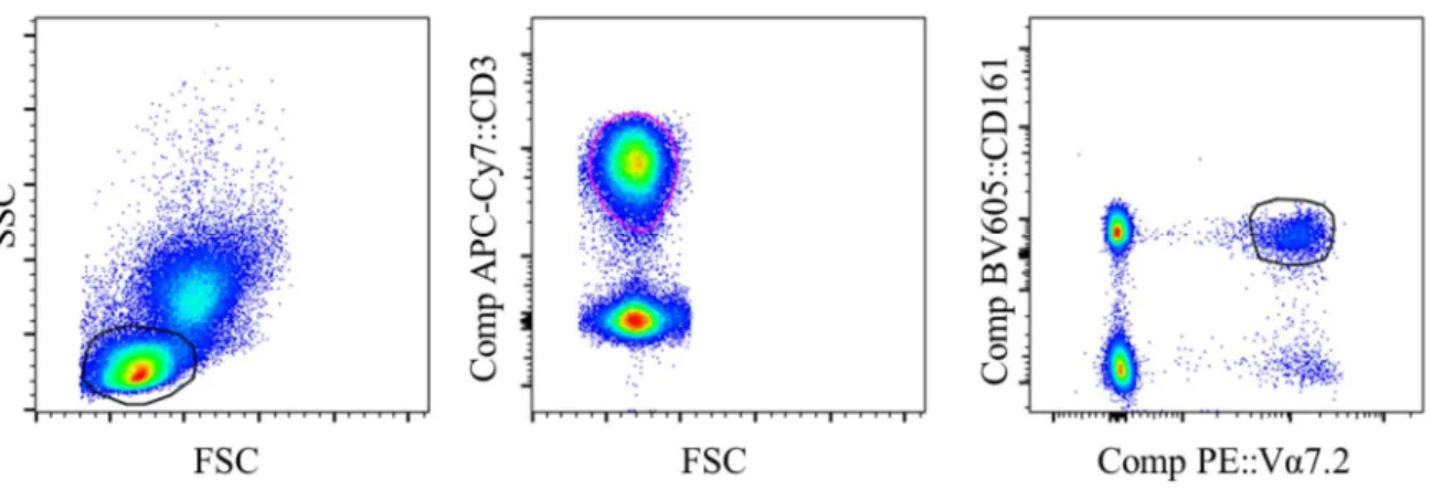 Figure 3. Gating strategy for MAIT cell identification. Side scatter-Forward scatter plot was  used to select lymphocytes