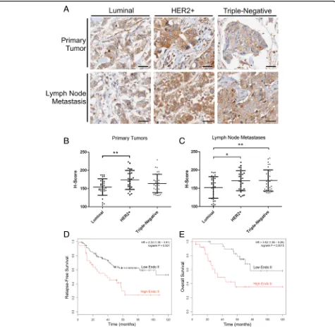 Fig. 1 Endothilin A2 (Endo II) expression and association with poor prognosis in human epidermal growth factor receptor-2 (HER2)-positive(HER2+) breast cancer