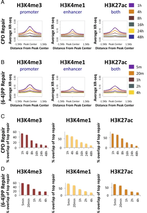 Fig. 4. Initial repair is associated with active histone marks. (A) Average CPD XR-seq profiles for each time point at 1.5-Kb regions flanking the center of ChIP- ChIP-seq peaks of H3K4me3 (Left), H3K4me1 (Center), and H3K27ac (Right)