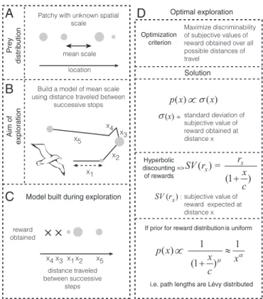 Fig. 1. Model for adaptive benefits of apparent Lévy walks. (A) The envi- envi-ronments of foragers often show spatial autocorrelation with a mean spatial scale