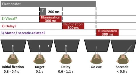Fig. 1. Memory-guided saccade task with illumination (or sham) at one of three task times (T)