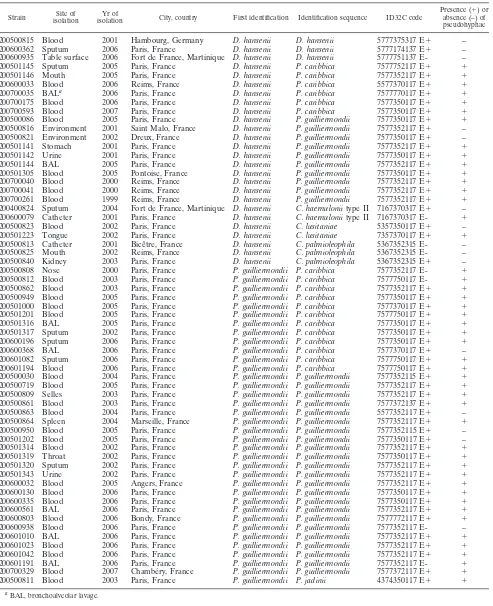 TABLE 1. Molecular identiﬁcation, ID32C code, and production of pseudohyphae for the 62 clinical and environmental isolates sent to theNRCMA between September 2000 and April 2007 as D