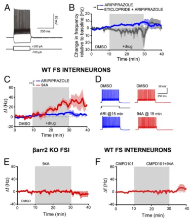 Fig. 7. UNC9994A has βarr2- and GRK2-dependent, agonist-like effects in pre- pfrontal GABAergic FSIs