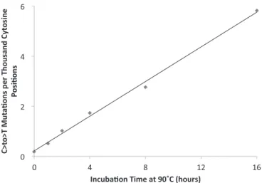 Fig. 4. C-to-T mutations (per 1,000 cytosine sequenced) as a function of in- in-cubation time at 90 °C