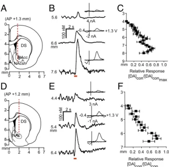 Fig. 1. Spontaneous dopamine transients synchronize bilaterally in the NAc.