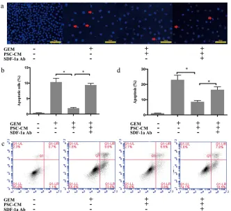 Figure 3: SDF-1α mediated the effects of PSC-CM on GEM-induced apoptosis in Panc-1 cells