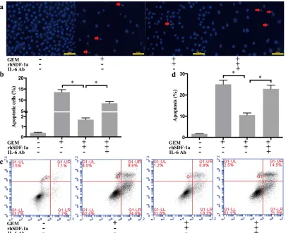 Figure 5: SDF-1α mediated the effects of PSCs on GEM-induced apoptosis in Panc-1 cells