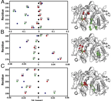 Fig. 4. dUMP ligand state multiplets. Spectral overlays of apo, dUMP 1 , and dUMP 2 allow visualization of chemical shift behaviors