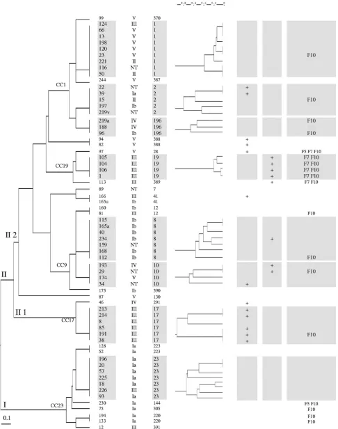 FIG. 1. Tree based on MLST and an unweighted-pair group method using average linkages (UGPMA) of the 66 unrelated S