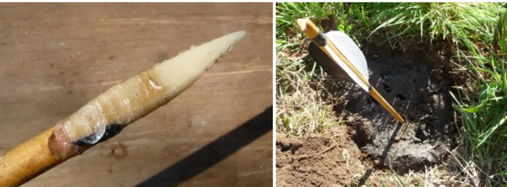 Figure 15: (left) Experimental point 3640 after being shot in the salmon once. 