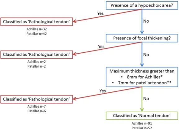 Figure 2.3. Algorithm for criteria decision-making to characterize patellar tendon structural  pathology using conventional ultrasound imaging in current study (from Docking and Cook,  2015)