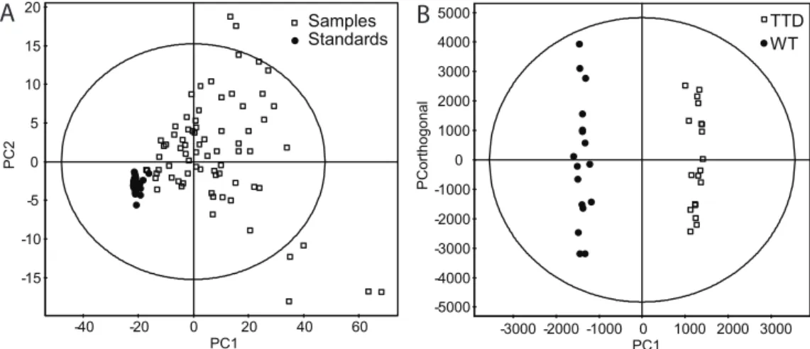 Figure 2. Multivariate data analysis of obtained CE-MS data. (A) PCA scores plot on  samples (white boxes) and standards (black circles)