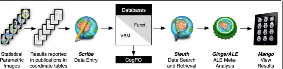Figure 1 The BrainMap Procedure for Coordinate-Based Meta-Analysesextracted and published in tabular format.BrainMap functional or VBM databases