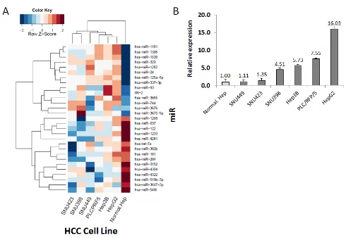 Figure 1: Identification of miR candidates in HCC. (A) Heat map of miR sequences used to identify miRs whose relative expression levels changed by a factor of 10-fold based on a logarithmic scale