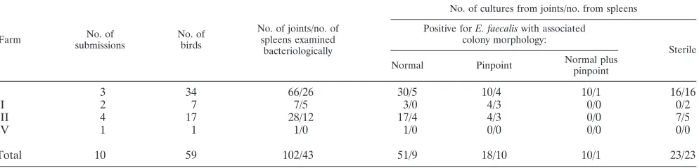 TABLE 1. Bacteriological examinations of joints and spleens of submitted animals from affected farms