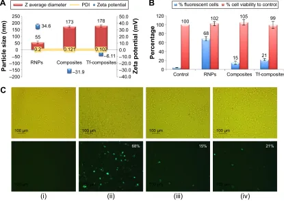 Figure 7 In vitro transfection of Zr-75-1 cell lines with Pla25-Peg5 composite nanoparticles and transferrin-modified PLA25-Peg5 composite nanoparticles (Tf-composites).Notes: (A) Particle size and zeta potential characterization of rNPs, composite nanopar