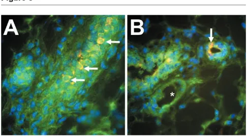 Figure 3activation are key elements for to understanding the spe-cific consequences of TGF-β activity during mammarygland development