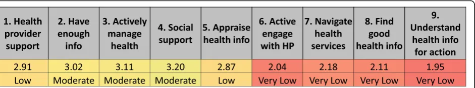 Fig. 3 Cluster analysis distribution of scores and associated patient vignette